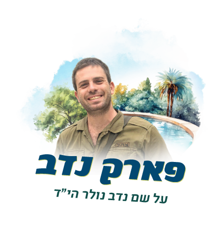 לוגו-שקוף