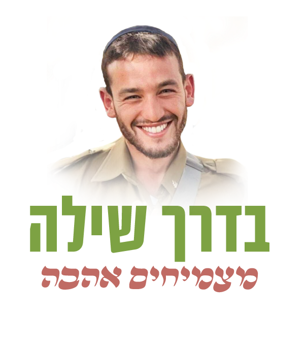 שילה-שקוף